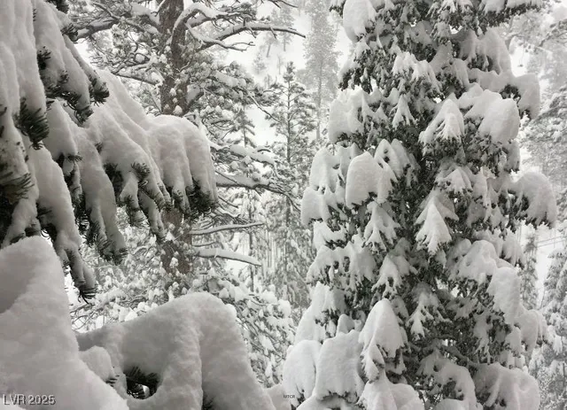 $1,250,000 | 310 Kris Kringle Road, Mount Charleston, NV 89124