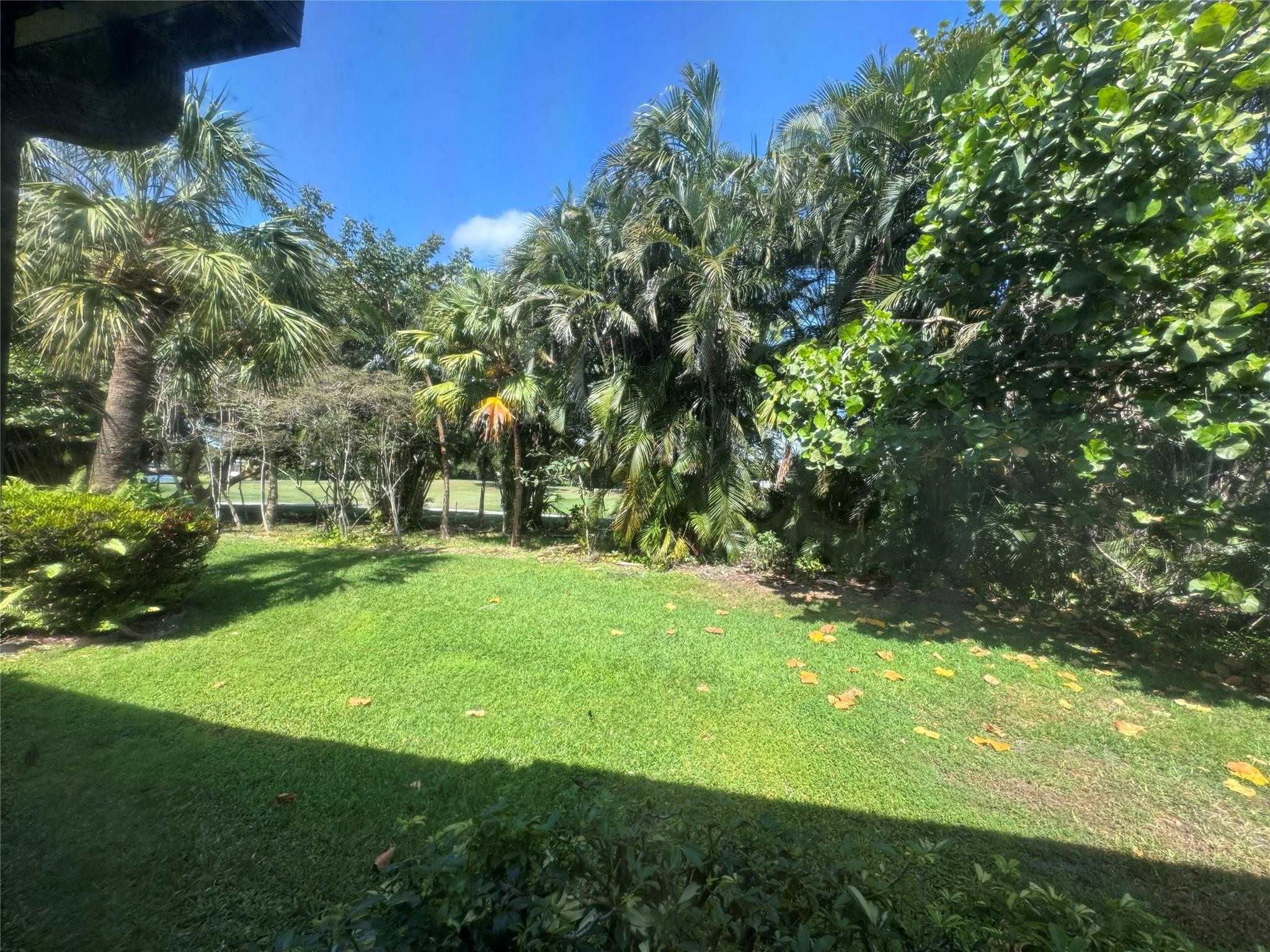 956 Mockingbird Lane, Unit 506 Plantation, FL 33324 - Photo 25 of 36 Beautiful golf course in back yard