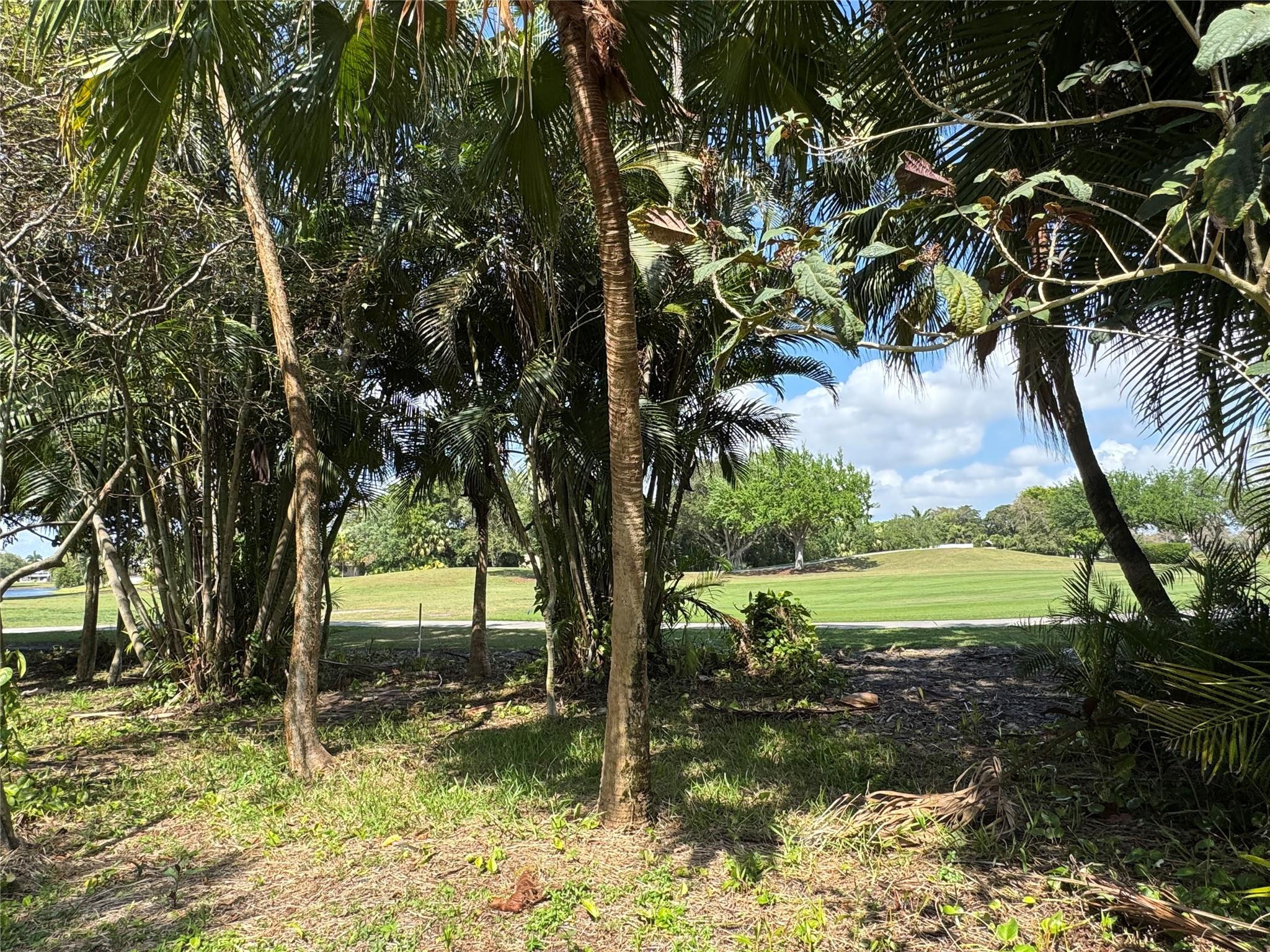 956 Mockingbird Lane, Unit 506 Plantation, FL 33324 - Photo 27 of 36 Golf anyone?