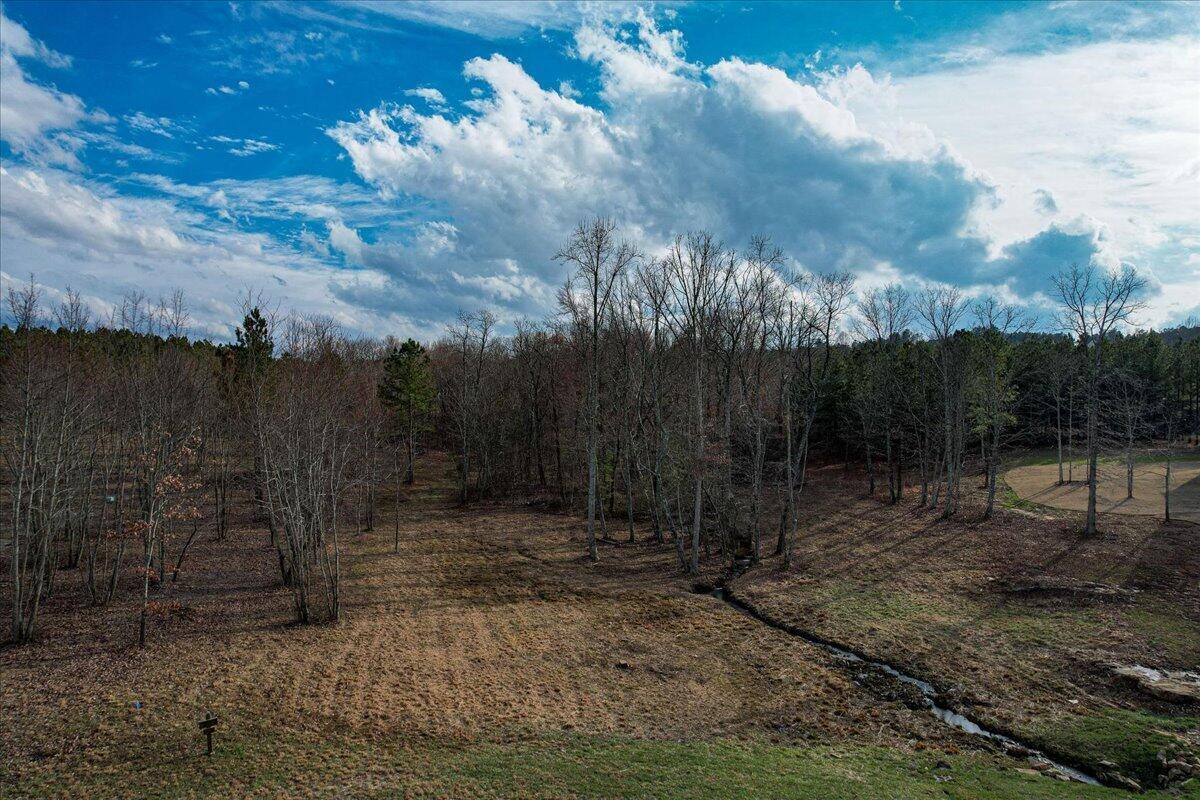 0 High Point Lane, Unit 182B Jasper, TN 37347 - Photo 36 of 49 16-Jasper Highlands 182b-7