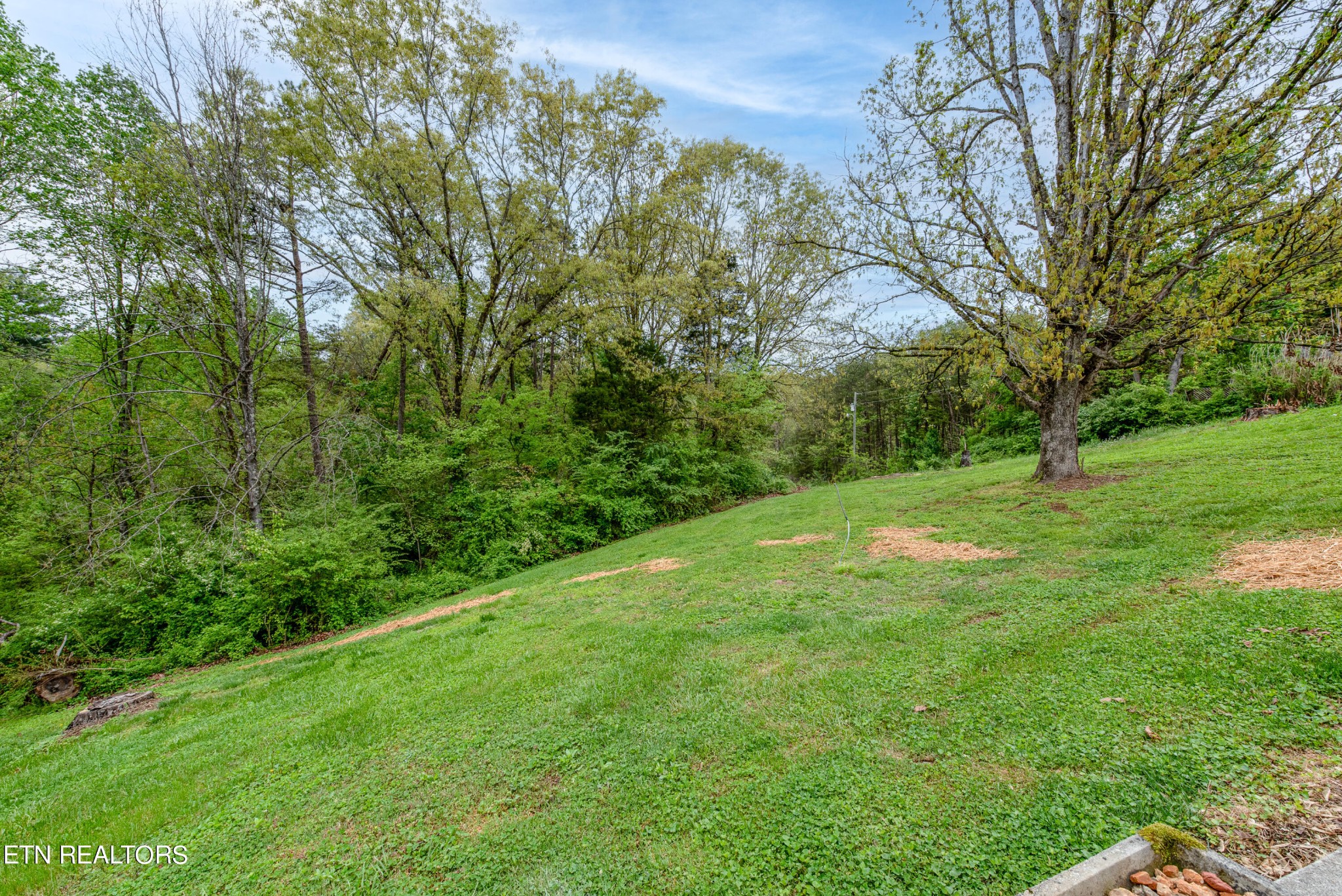 4038 Big Springs Ridge Road Friendsville, TN 37737 - Photo 26 of 26 a view of a grassy area with an trees
