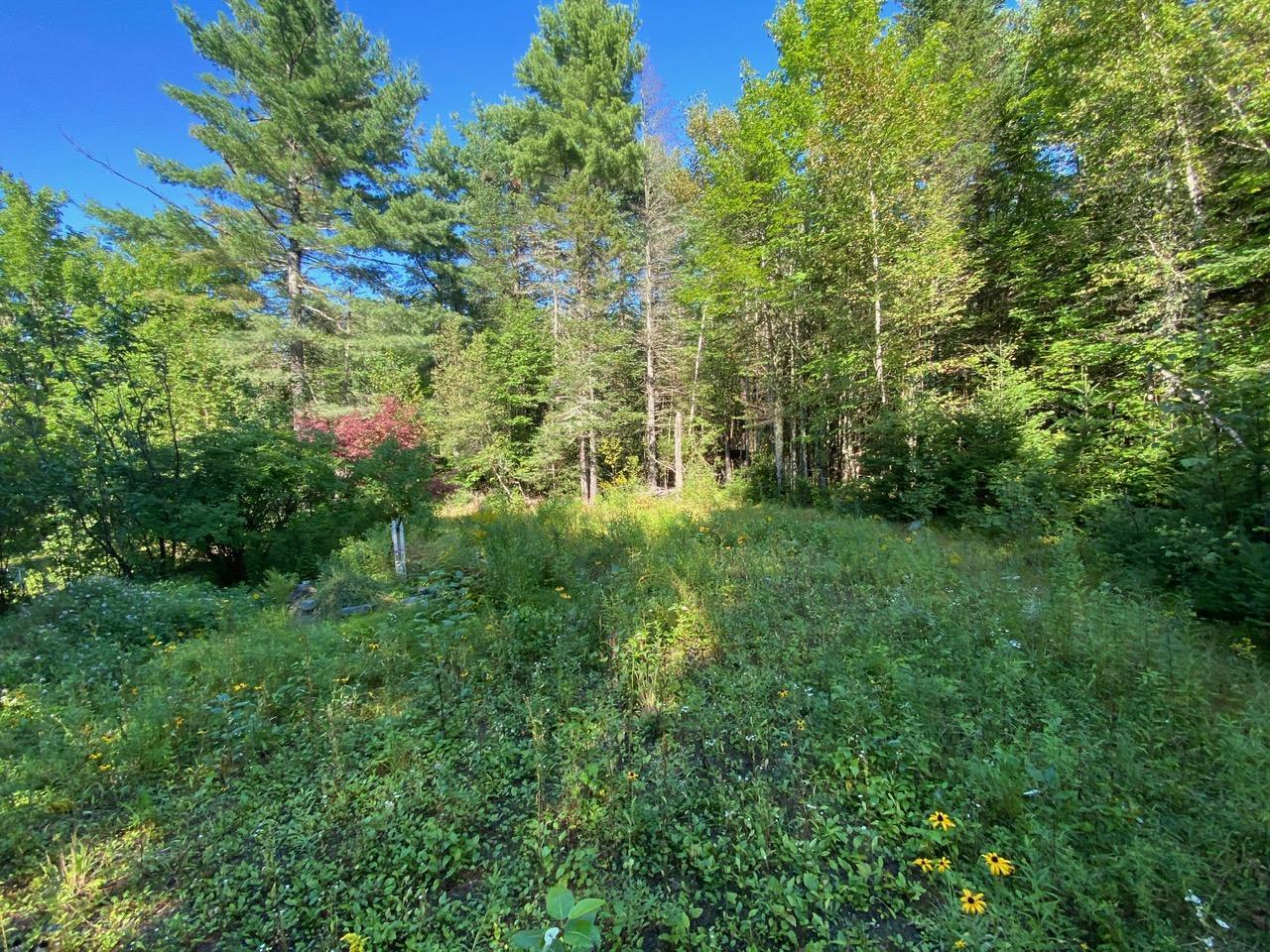 115 Turner Road Sangerville, ME 04479 - Photo 27 of 28 27