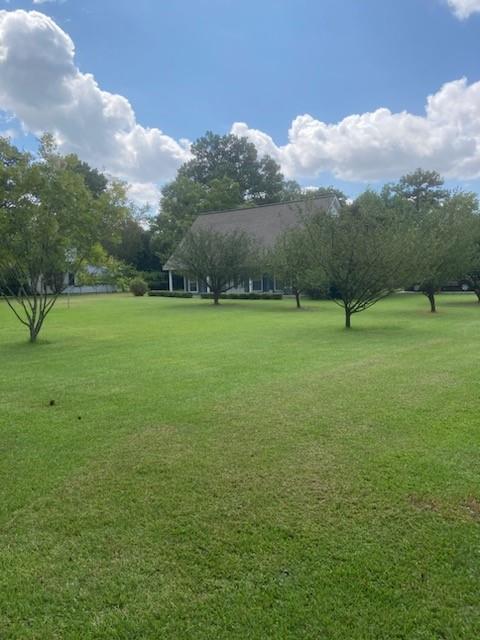105 B Maxey Pollock, LA 71467 - Photo 4 of 18 Gallery Image 4