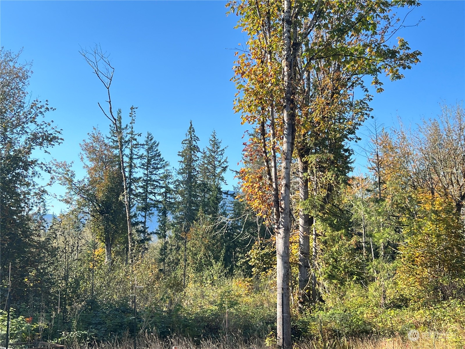 148 Tree Haven Road Quilcene, WA 98376 - Photo 11 of 16