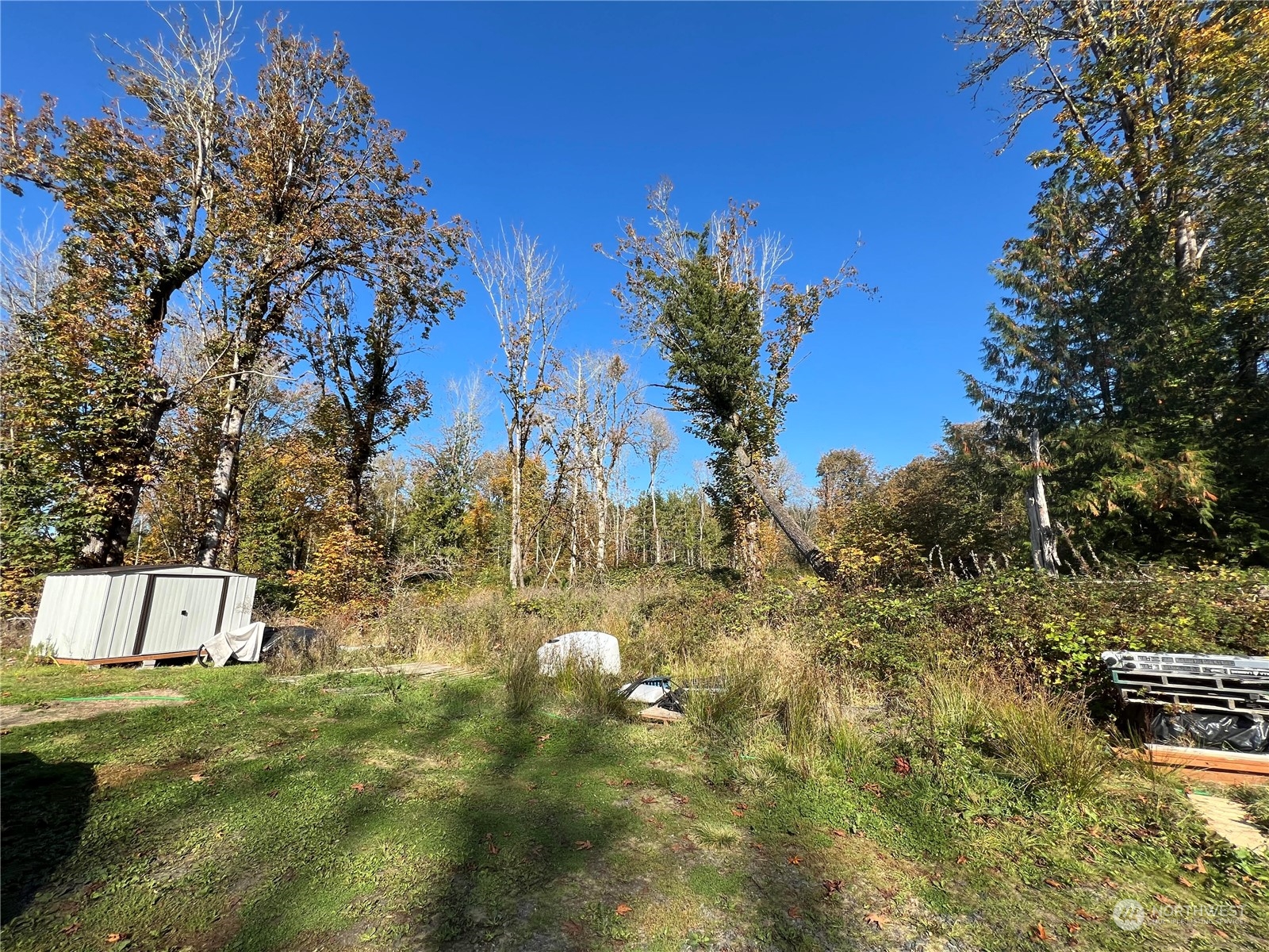 148 Tree Haven Road Quilcene, WA 98376 - Photo 12 of 16