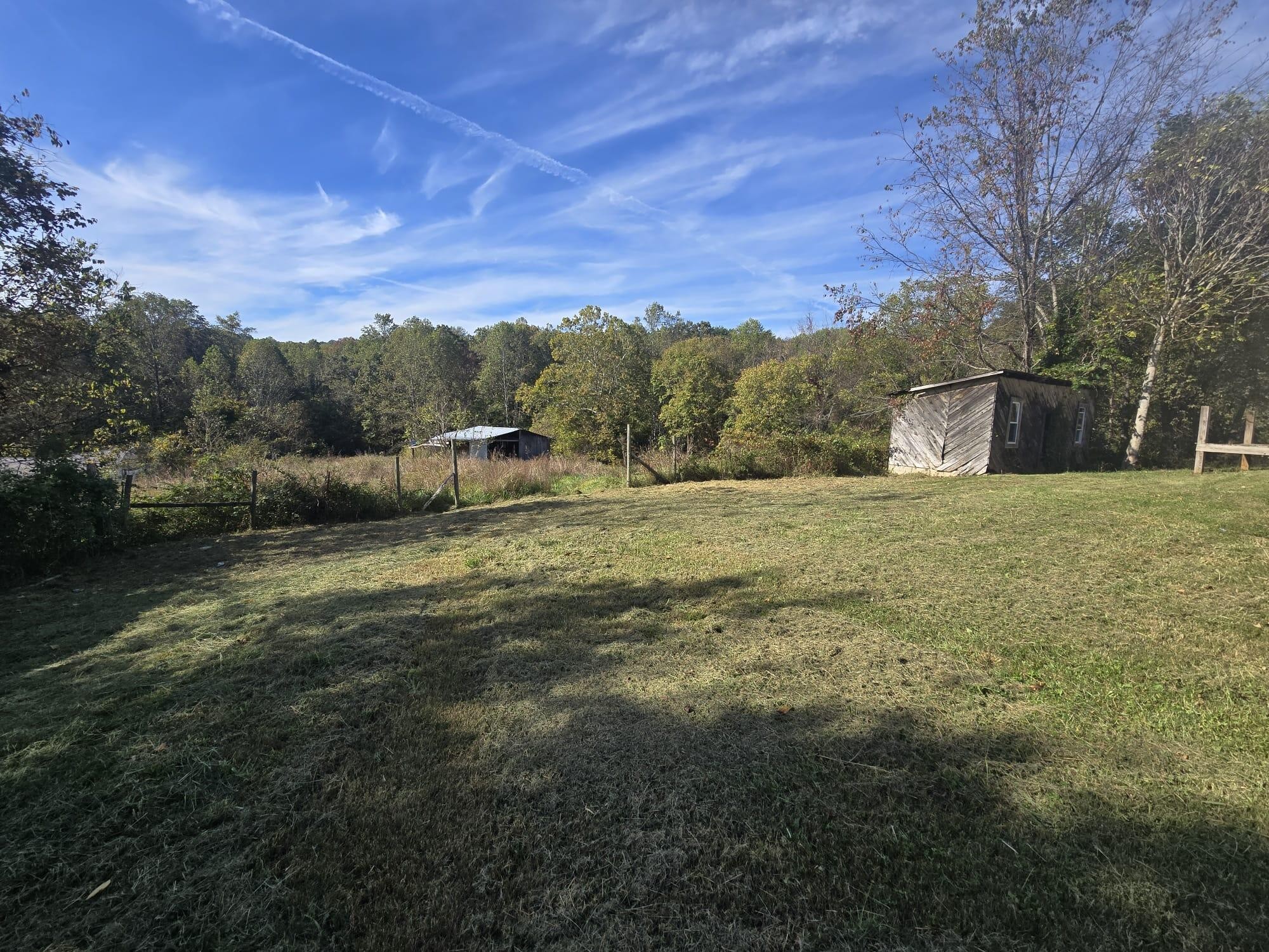 1596 Volunteer Road Rutledge, TN 37861 - Photo 11 of 25 a view of a backyard
