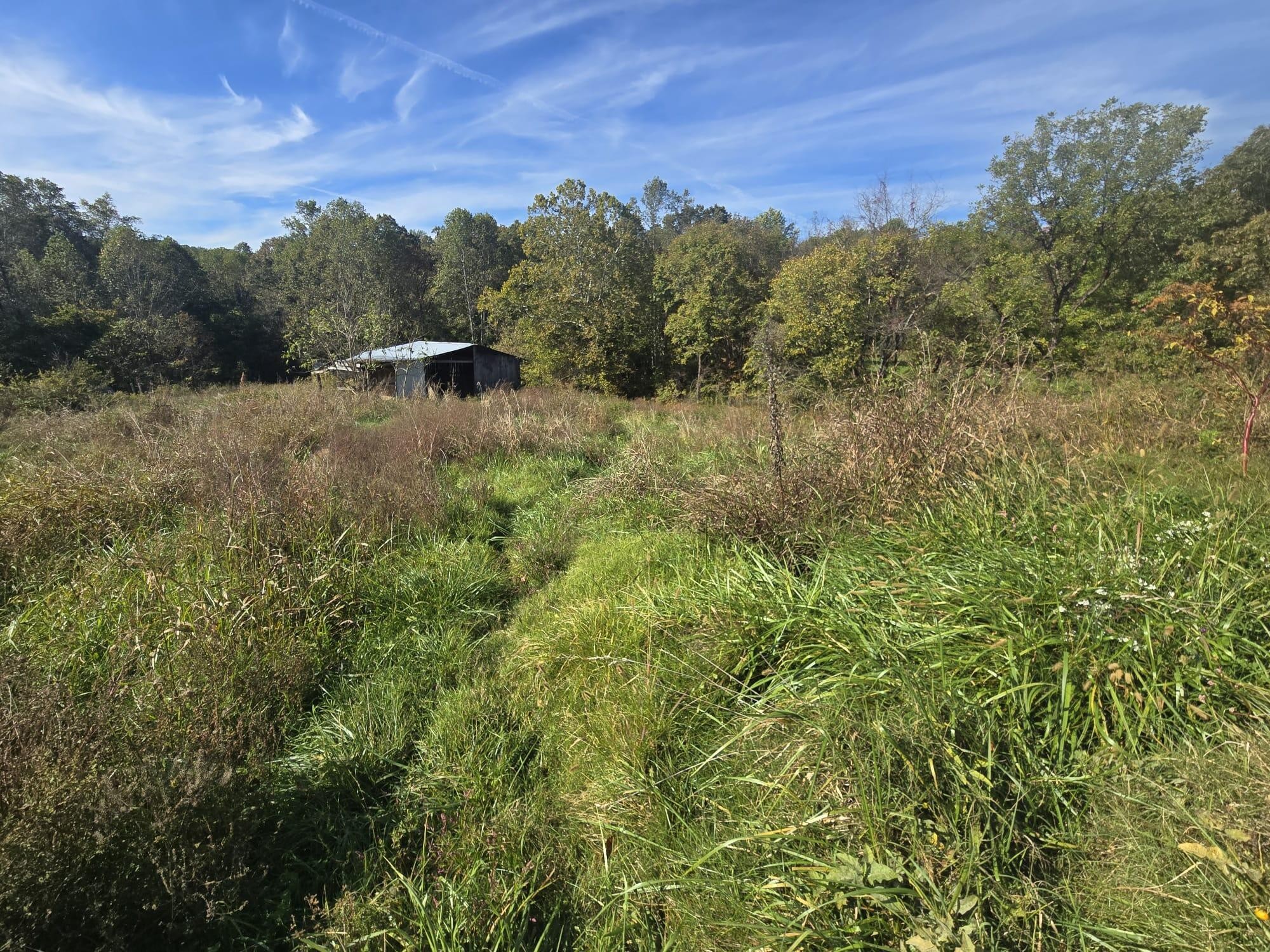 1596 Volunteer Road Rutledge, TN 37861 - Photo 25 of 25 a view of a green field with lots of bushes