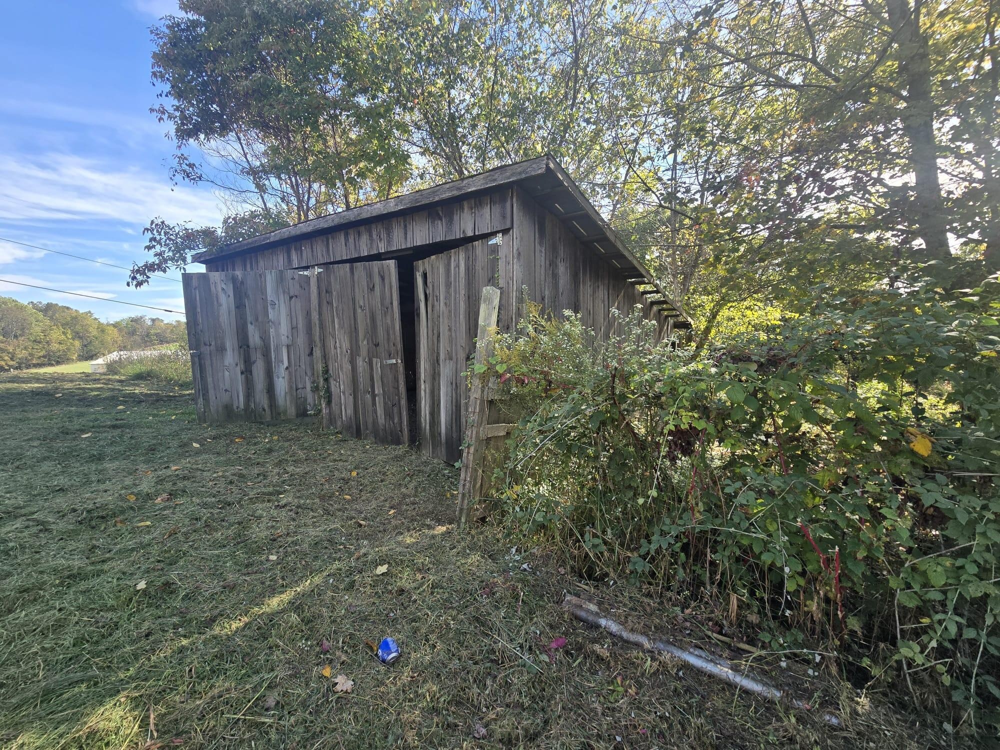 1596 Volunteer Road Rutledge, TN 37861 - Photo 5 of 25 a view of a backyard