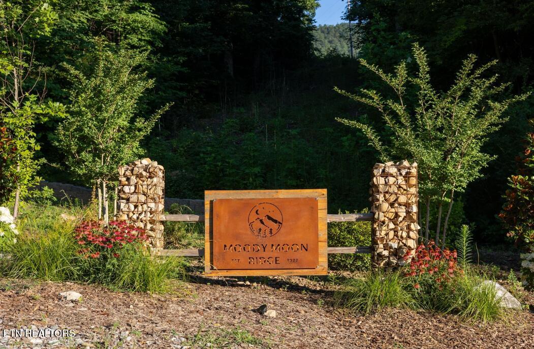 13 Moody Moon Ridge Way Newport, TN 37821 - Photo 11 of 14 Screenshot 2026-03-13 141610