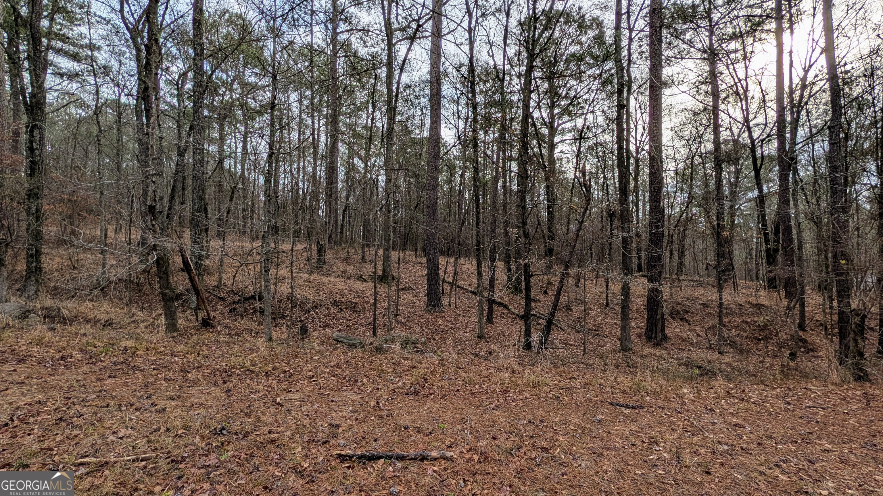 0 Highway 87 Macon, GA 31210 - Photo 2 of 3