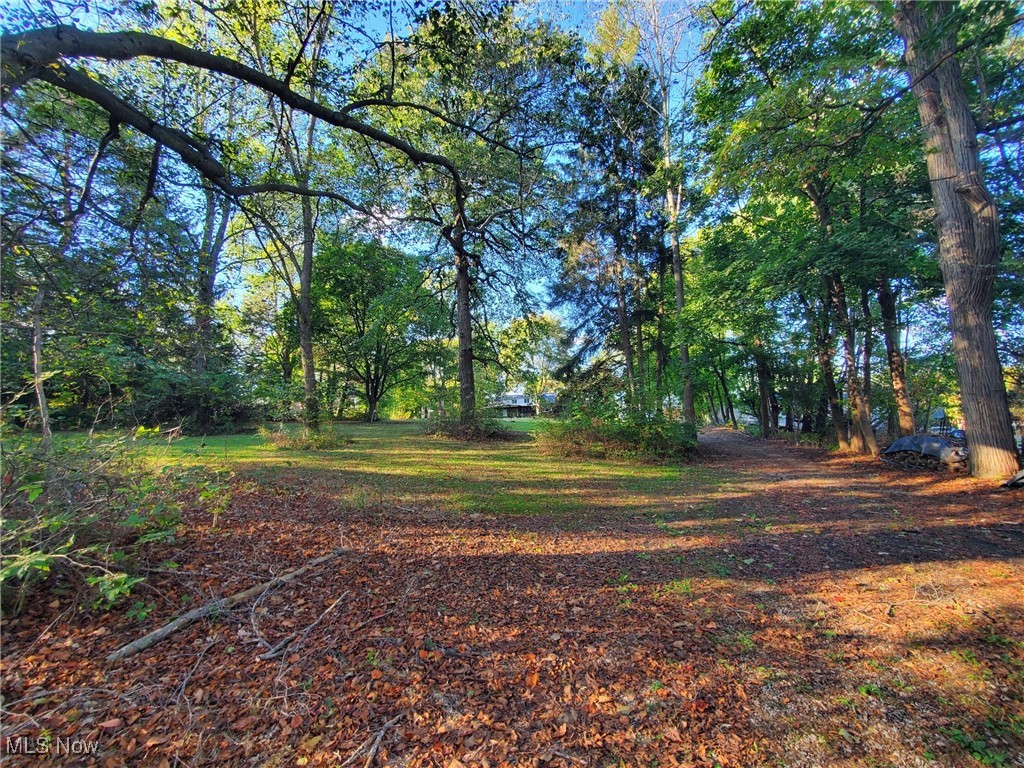 2860 Eastern Road Rittman, OH 44270 - Photo 46 of 49 Beautiful view of the house between the trees