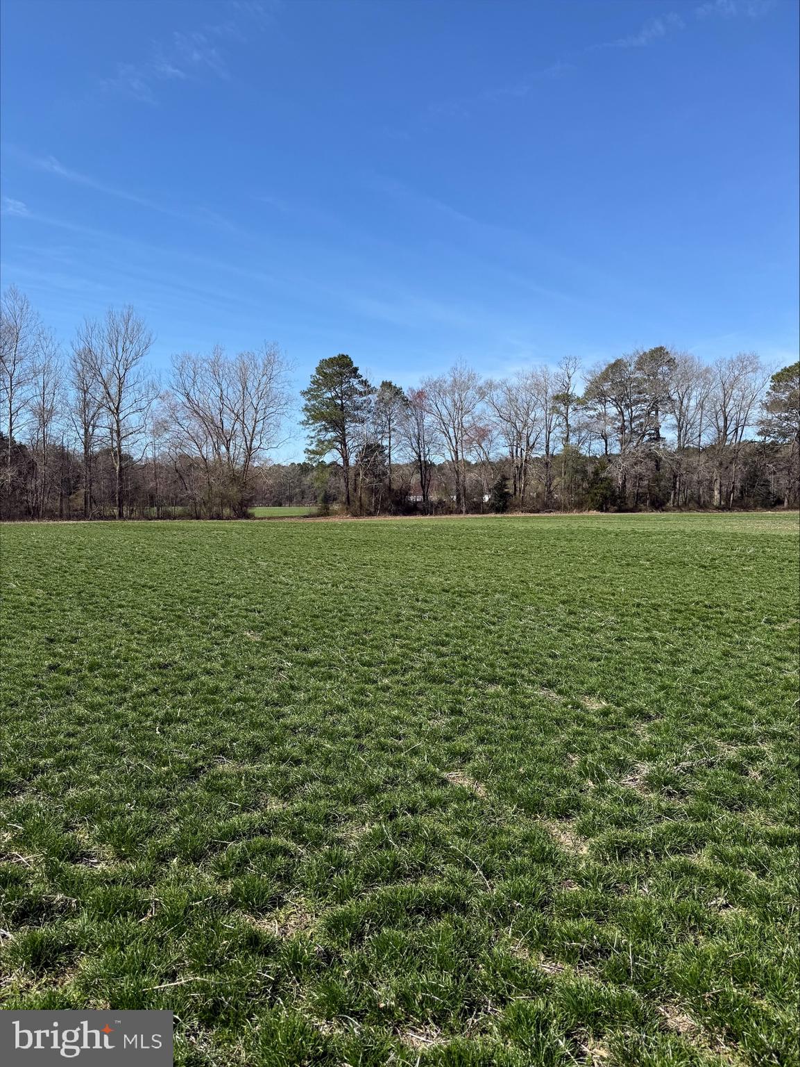 7890 Athol Road Hebron, MD 21830 - Photo 43 of 43 a view of a field with an ocean