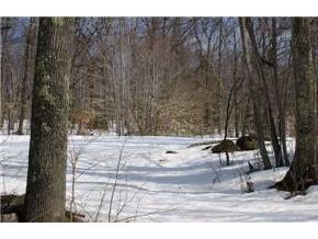 0 Cleveland Hill Road Tamworth, NH 03886 - Photo 4 of 5