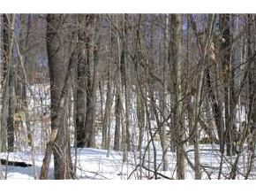 0 Cleveland Hill Road Tamworth, NH 03886 - Photo 5 of 5