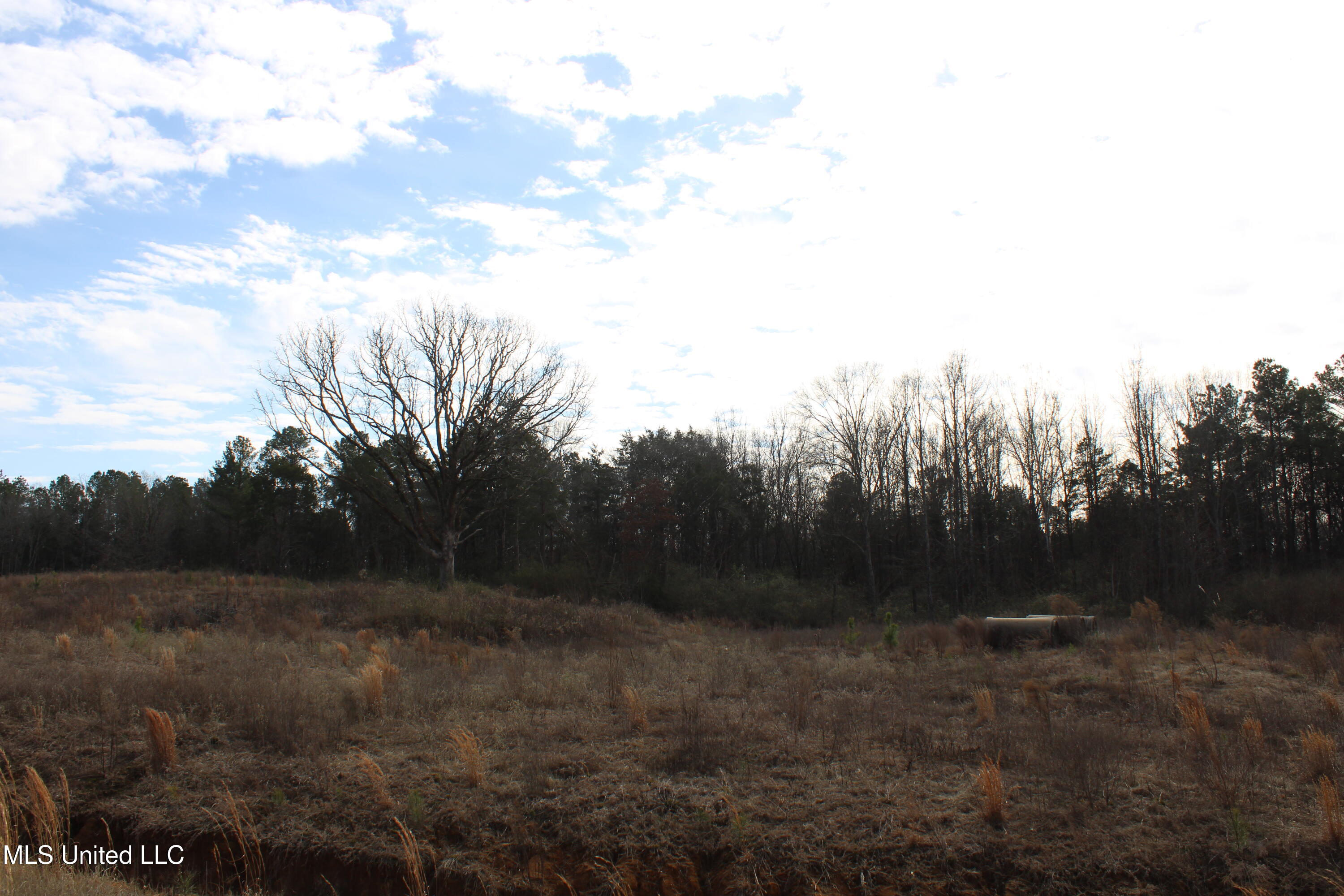 12 Taylor Nichole Road Byhalia, MS 38611 - Photo 4 of 22 IMG_7150