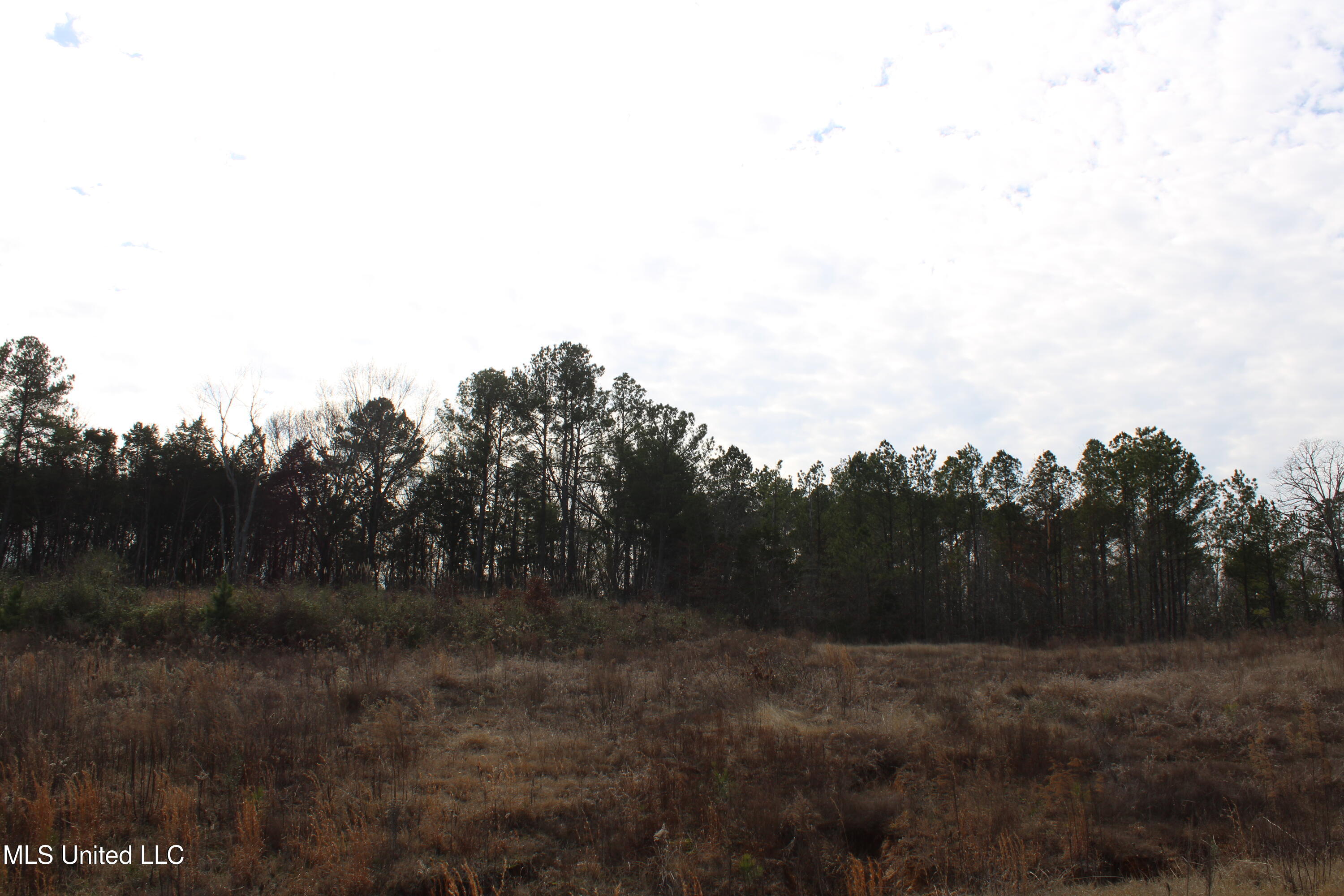 12 Taylor Nichole Road Byhalia, MS 38611 - Photo 6 of 22 IMG_7152