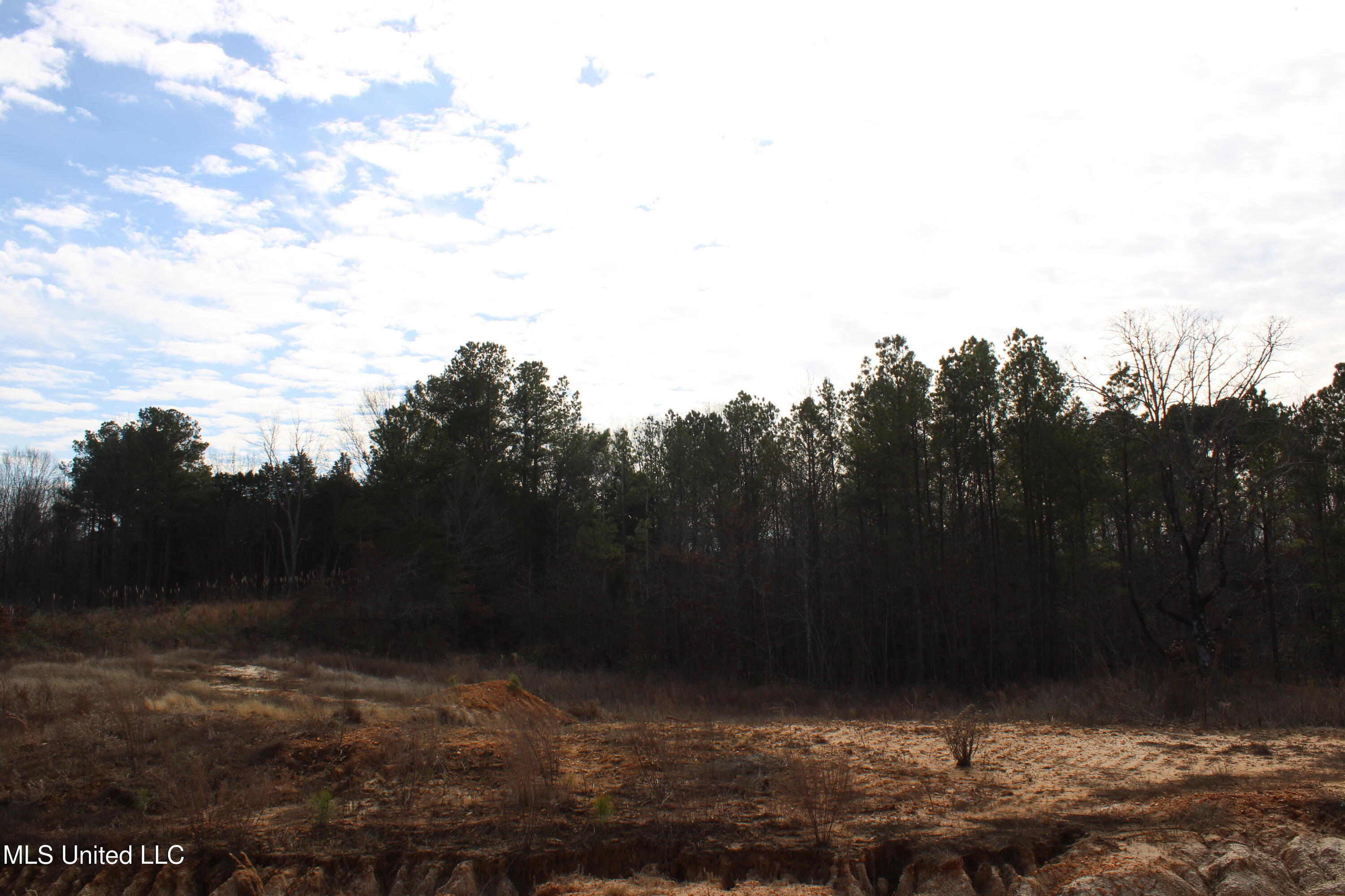 12 Taylor Nichole Road Byhalia, MS 38611 - Photo 7 of 22 IMG_7153