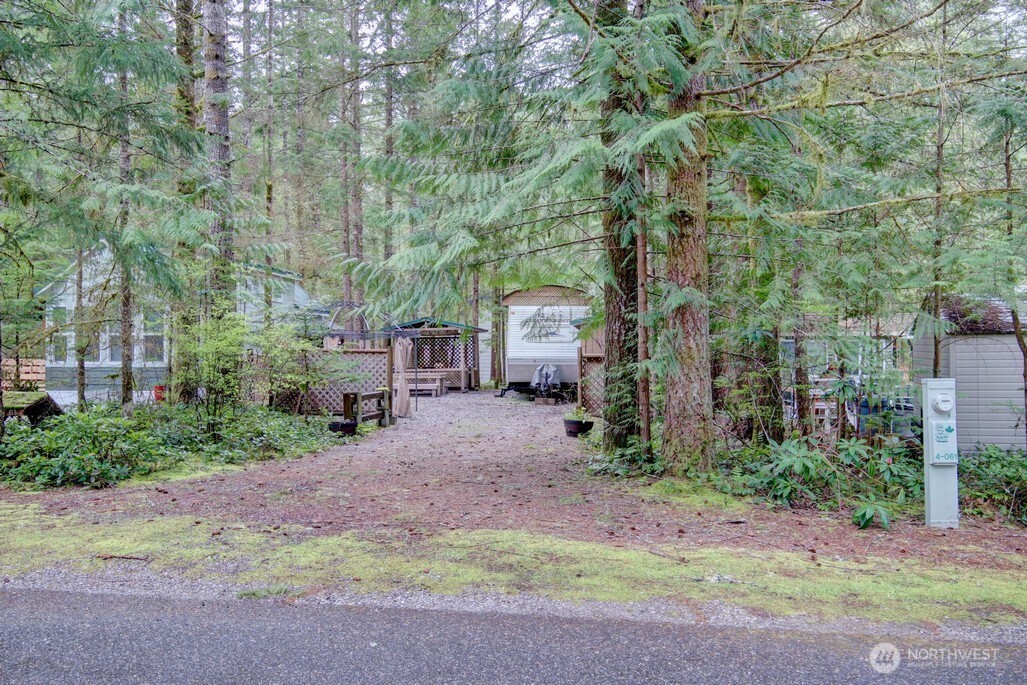 61 Christmas Tree Circle Maple Falls, WA 98266 - Photo 2 of 34 a backyard of a house with lots of green space