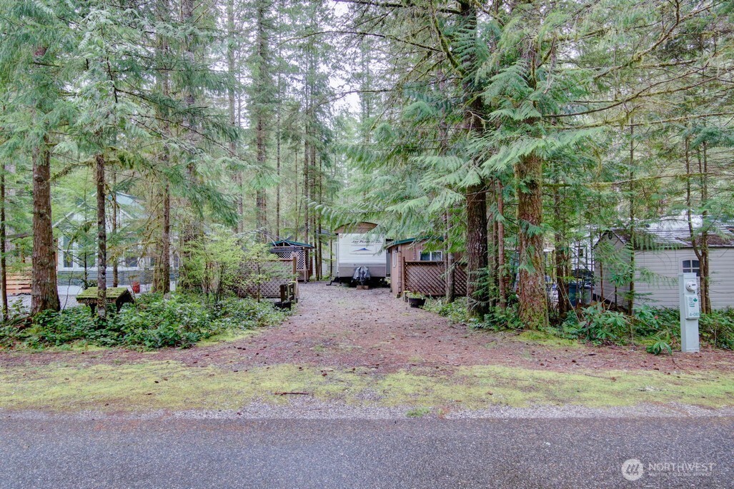 61 Christmas Tree Circle Maple Falls, WA 98266 - Photo 22 of 34 a backyard of a house with fountain and barbeque oven