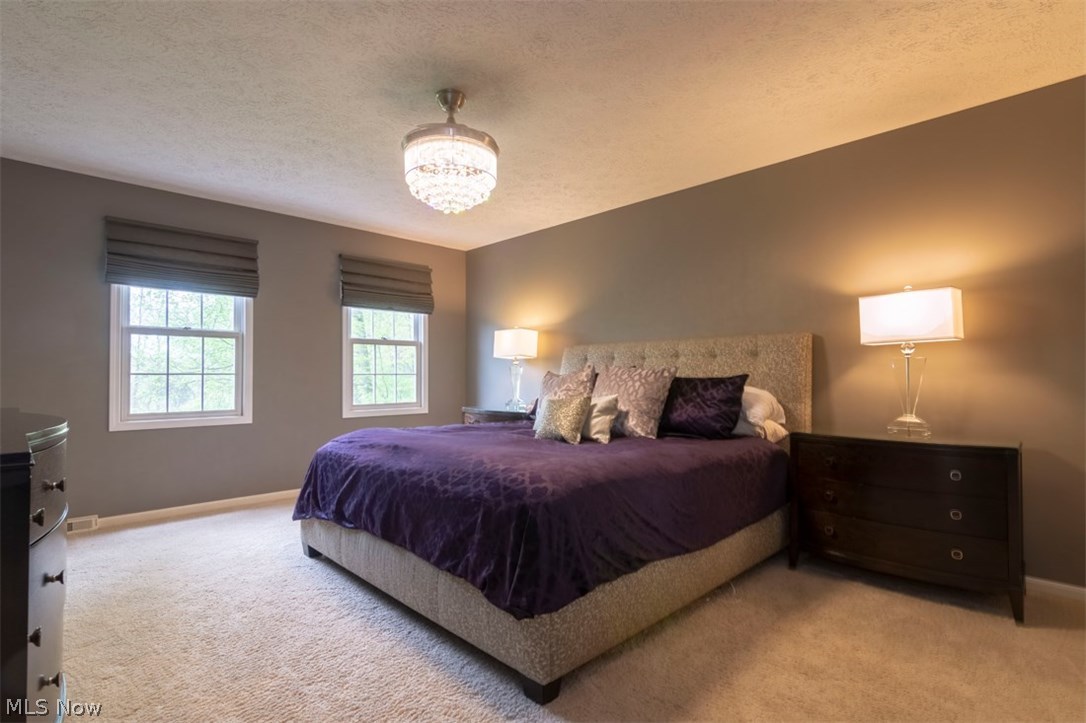 360 Miles Road Chagrin Falls, OH 44022 - Photo 19 of 35 Gallery Image 19