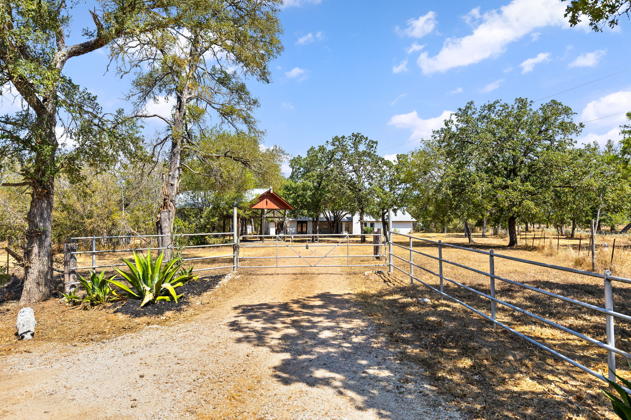 196 Willy Road Bastrop, TX 78602 - Photo 30 of 40 Mature trees frame the gated entry and long approach leading to this countryside residence.