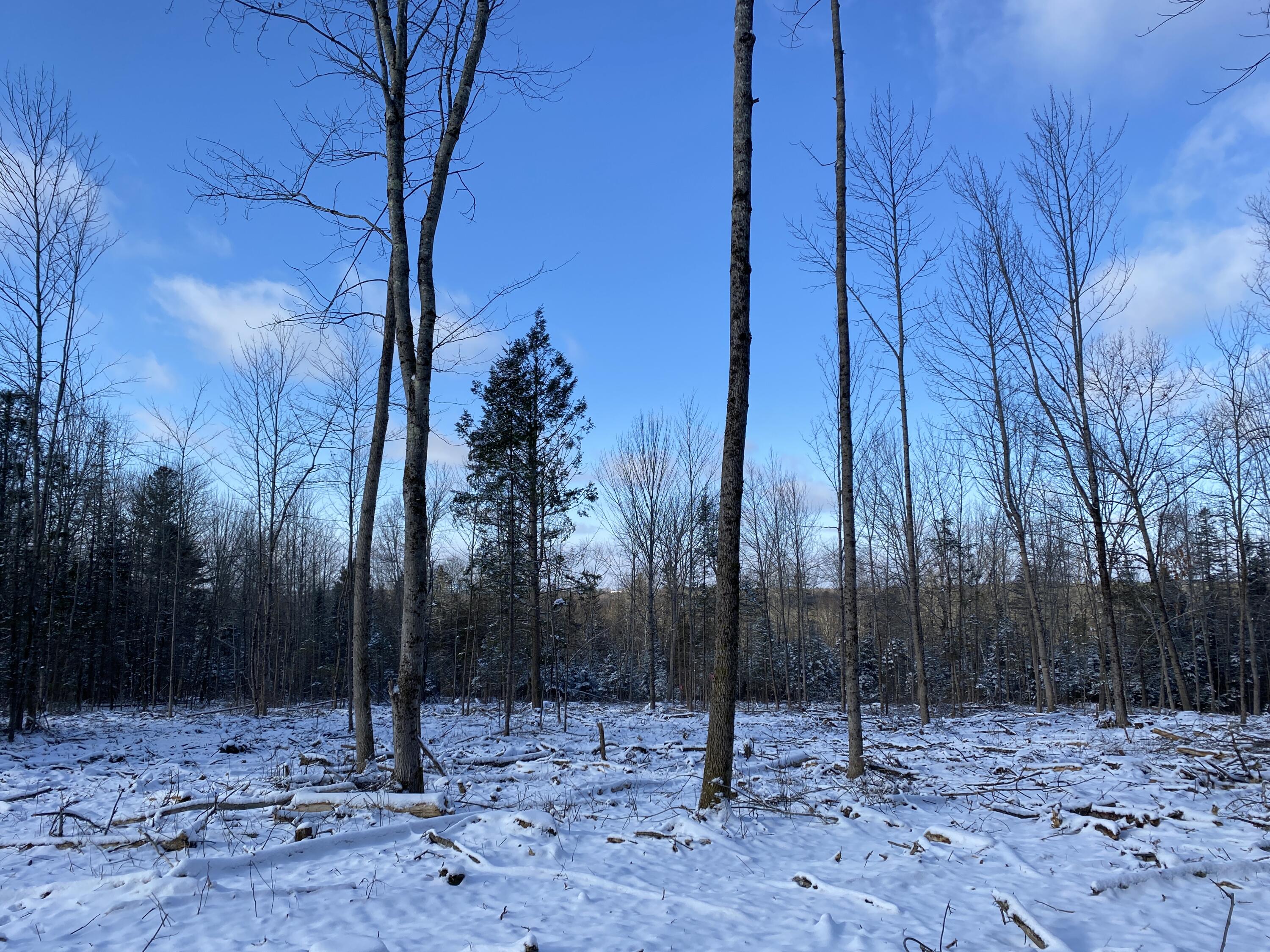 Lot 2 Coffin Road Thorndike, ME 04986 - Photo 5 of 9 IMG_3319