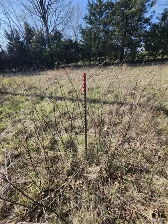$80,000 | 0 M- Highway, Grovespring, MO 65662