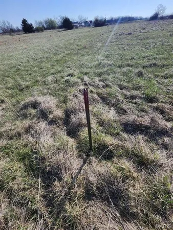 $80,000 | 0 M- Highway, Grovespring, MO 65662