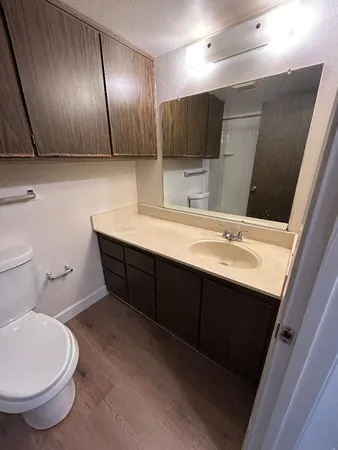a bathroom with a sink and a toilet