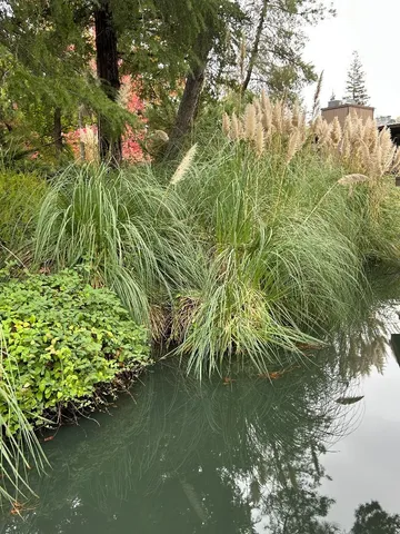 a view of a lake with a house