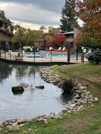 a view of a road with plants and large trees