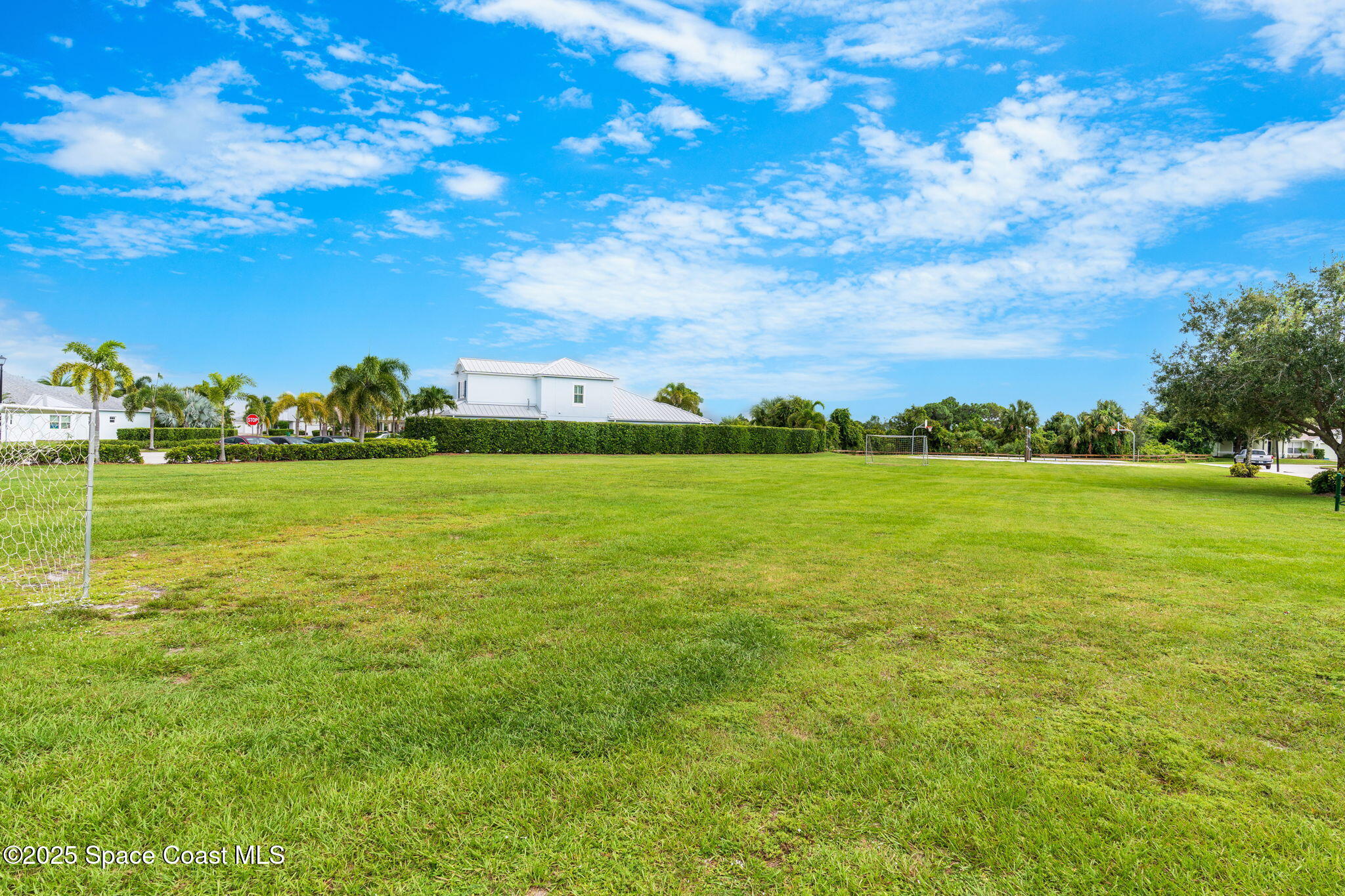 1908 Tullagee Avenue Melbourne, FL 32940 - Photo 57 of 58 a view of a big yard with a large trees