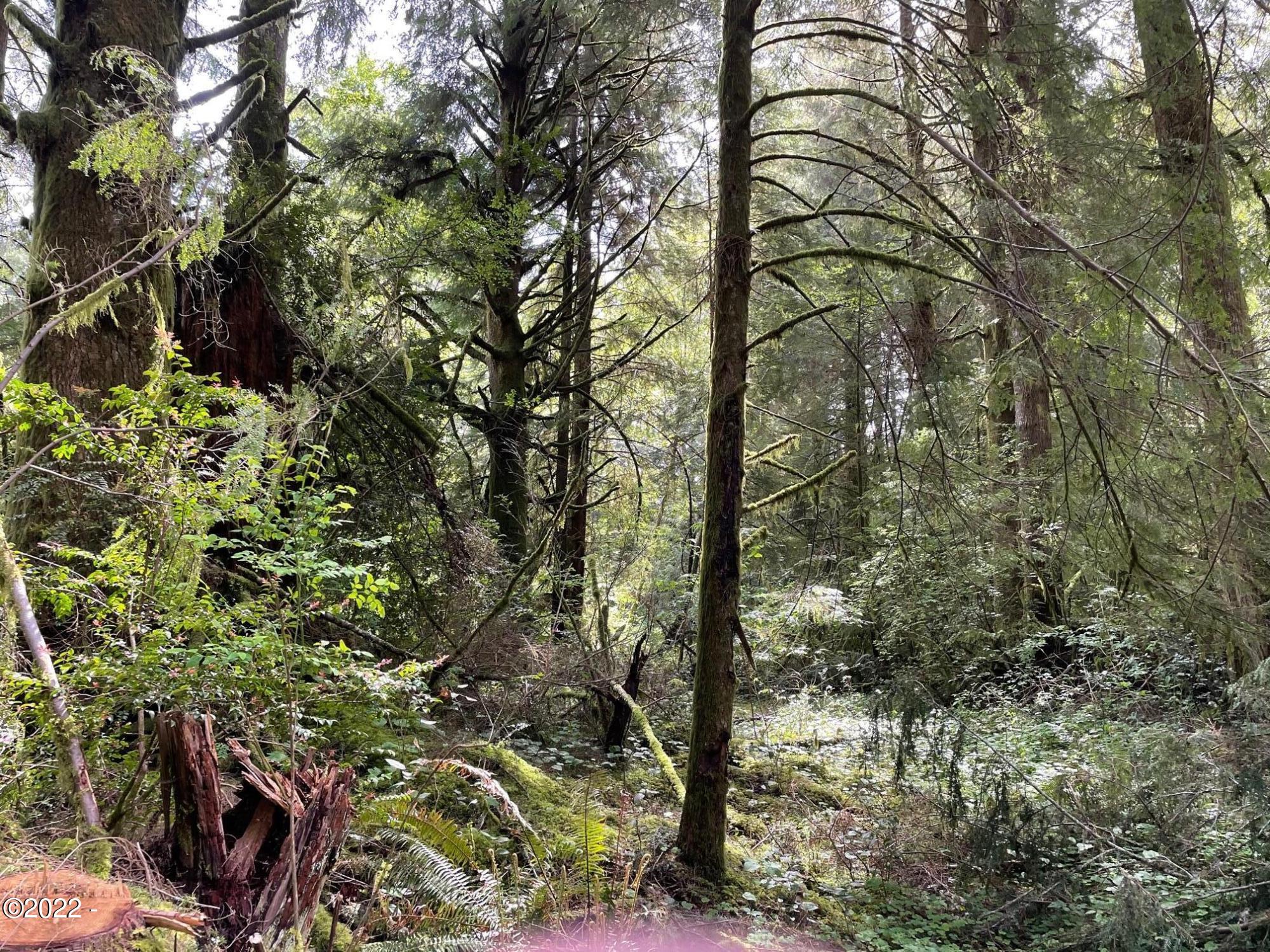 121 East Castle Road Waldport, OR 97394 - Photo 9 of 25 Property