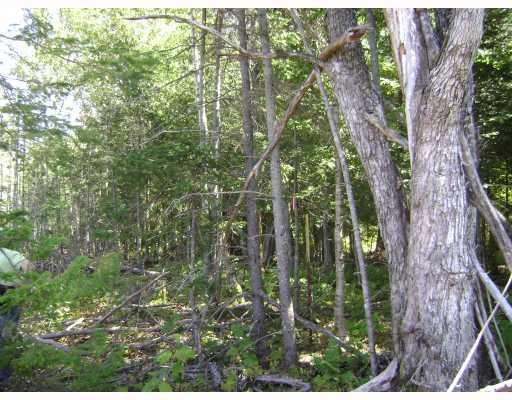Land/Lot. Northwest corner