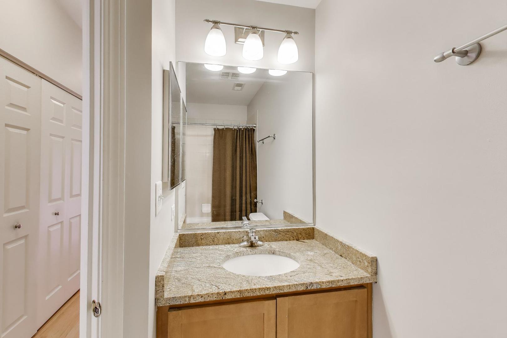 125 North Rose Street, Unit E Palatine, IL 60067 - Photo 20 of 28 a bathroom with a granite countertop sink and a mirror