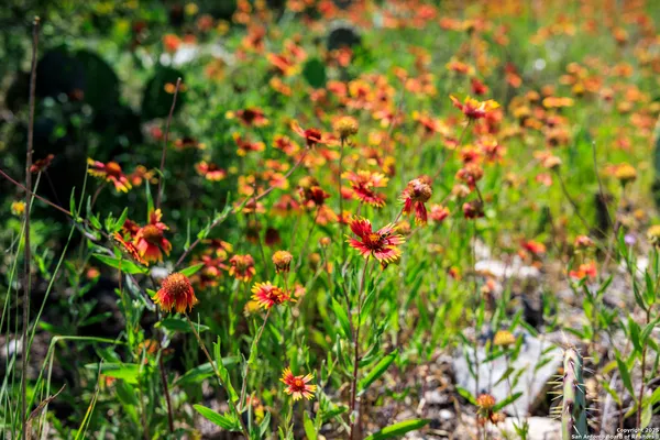 a view of a pathway with a yard