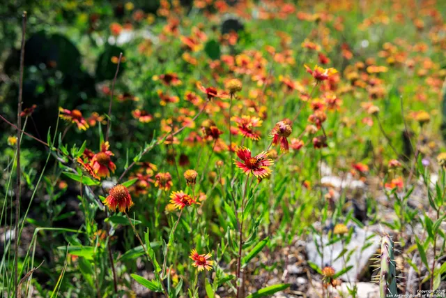 a view of a pathway with a yard