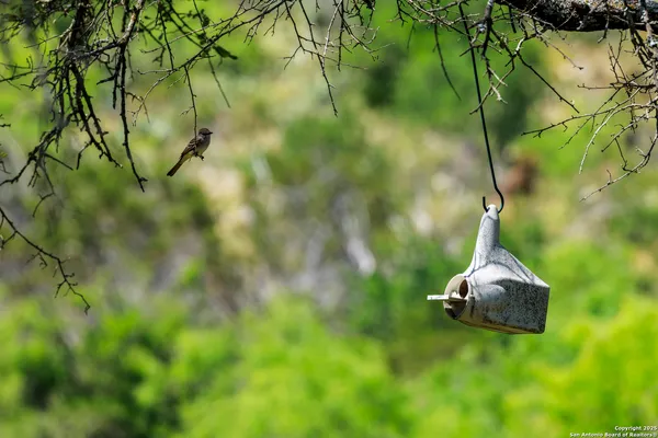 a view of a lake with a tree