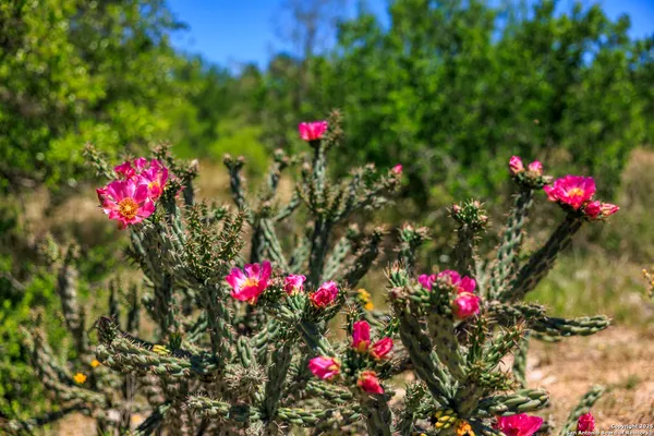 a view of an ocean from a beach