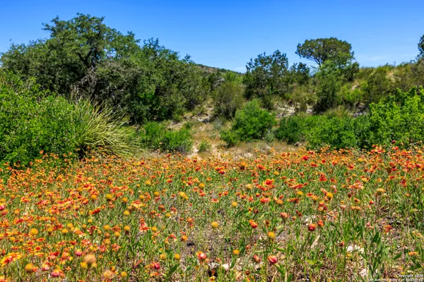 $6,150,000 | 256 Persimmon Point, Mason, TX 76856