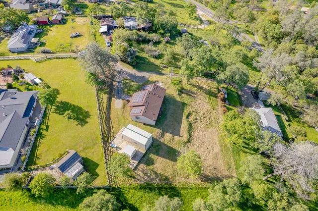 a view of a city with lush green forest