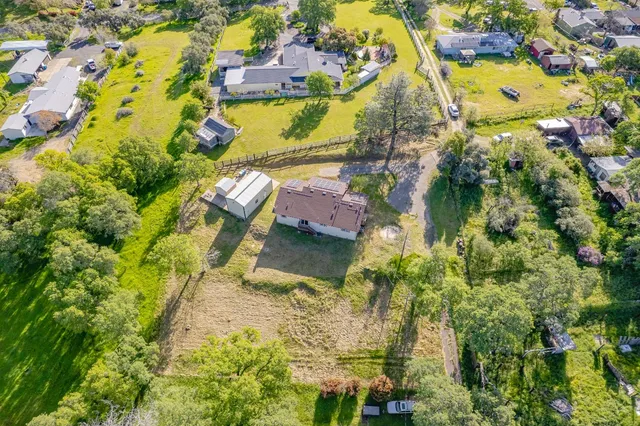 a view of a city with lush green forest