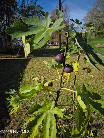 $237,000 | 18 White Oak Street, Jacksonville, NC 28540