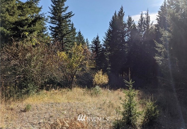 260 Bakers Road Ronald, WA 98940 - Photo 1 of 1 Gallery Image 1