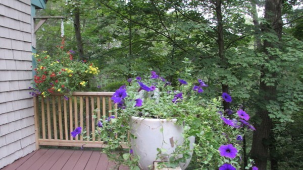 309 Dodge Road Rowley, MA 01969 - Photo 24 of 26 Gallery Image 24
