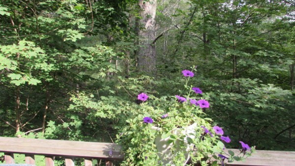309 Dodge Road Rowley, MA 01969 - Photo 25 of 26 Gallery Image 25