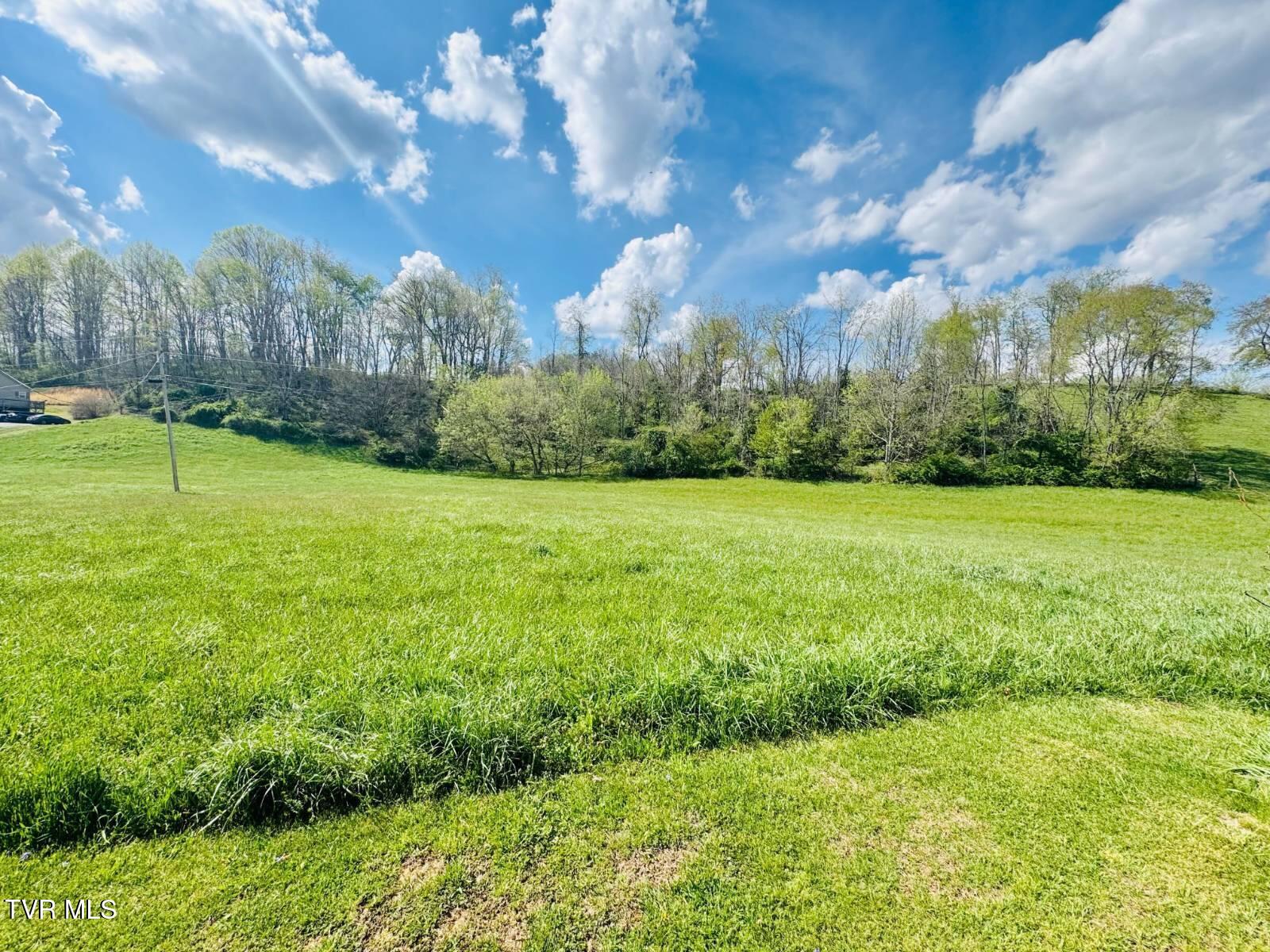 31111 Rich Valley Road Meadowview, VA 24361 - Photo 12 of 18 12