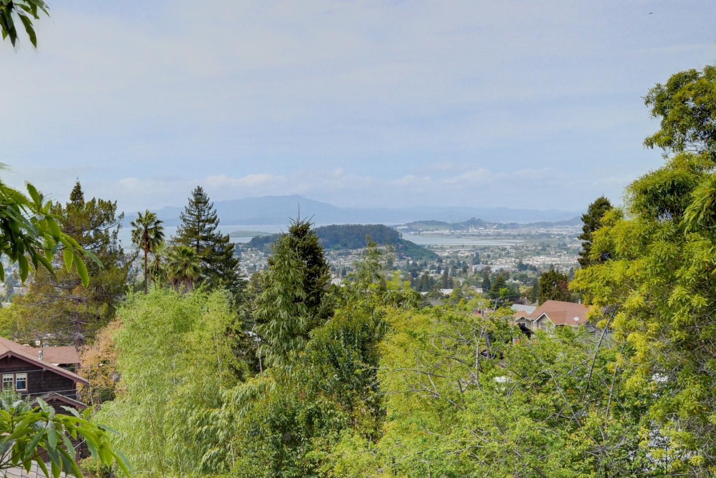 2325 Corona Court Berkeley, CA 94708 - Photo 19 of 25 a view of a large yard with lots of green space
