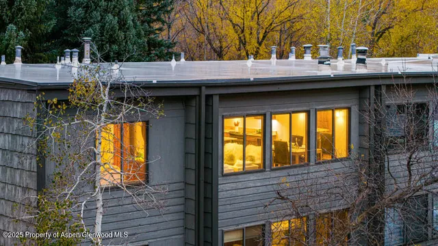 a view of a house with a yard and potted plants