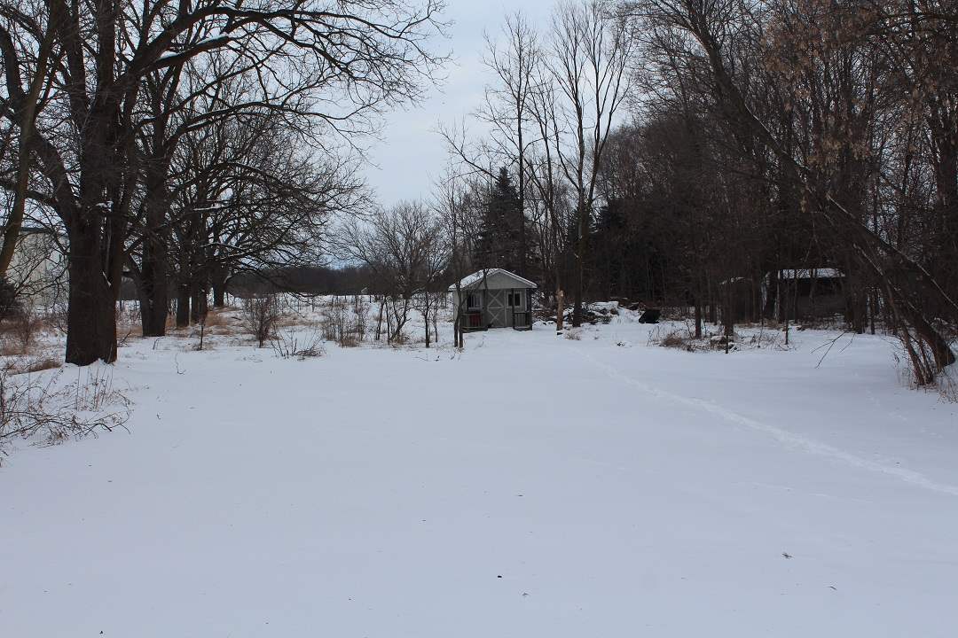 3483 East River Road Mount Pleasant, MI 48858 - Photo 6 of 25 1871141-5.JPG